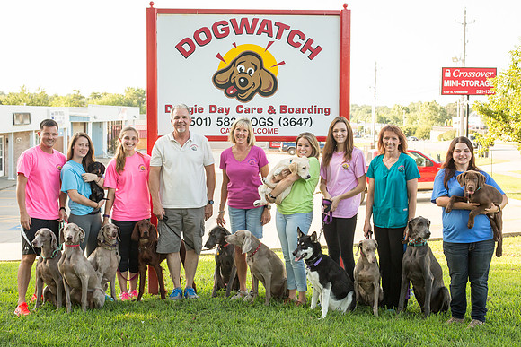 Dogwatch